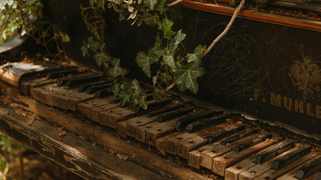 pexels-roman-odintsov-8180515